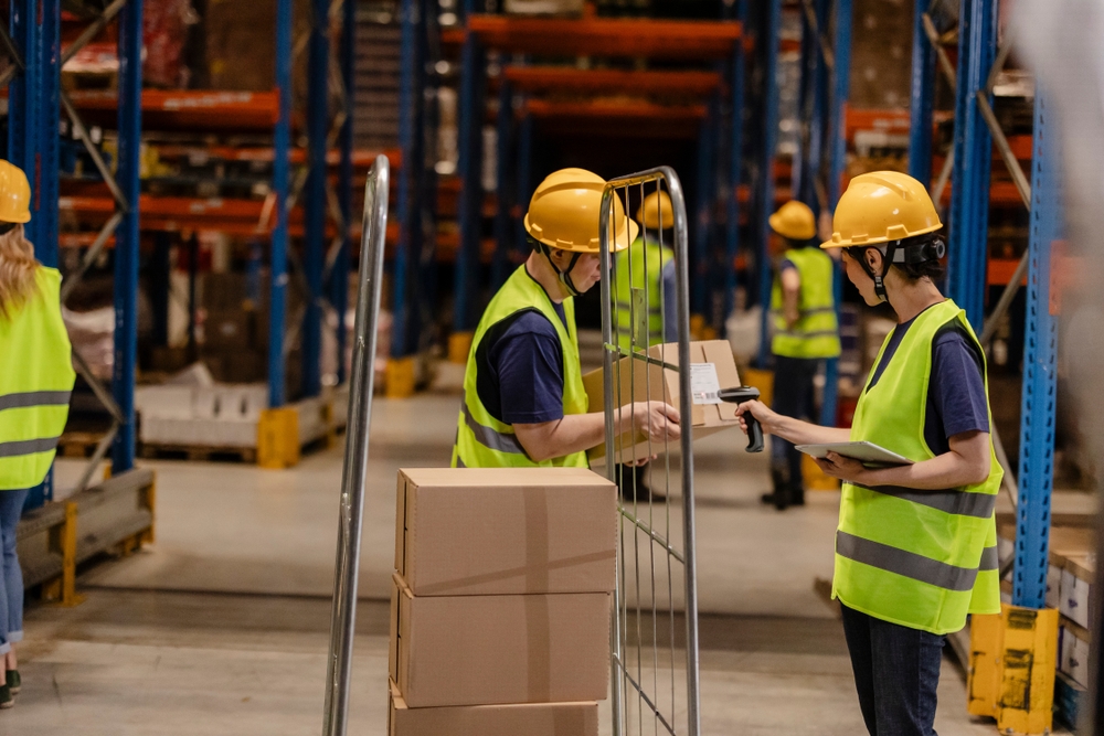 Warehouse workers scanning goods for picking and packing in Christchurch for fulfilment. 
